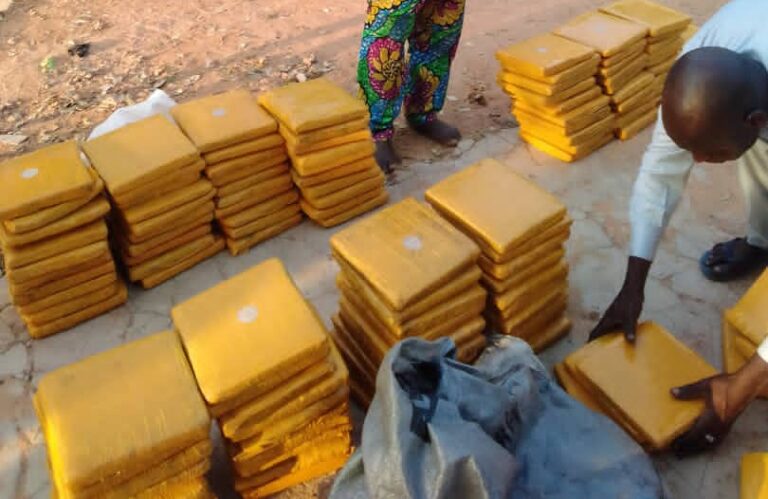 Police intercept 185 parcels of cannabis in Katsina, neutralise 2 bandits