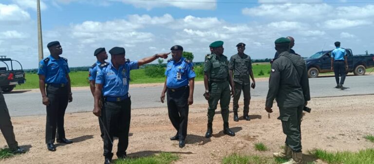 Zamfara Police Commissioner