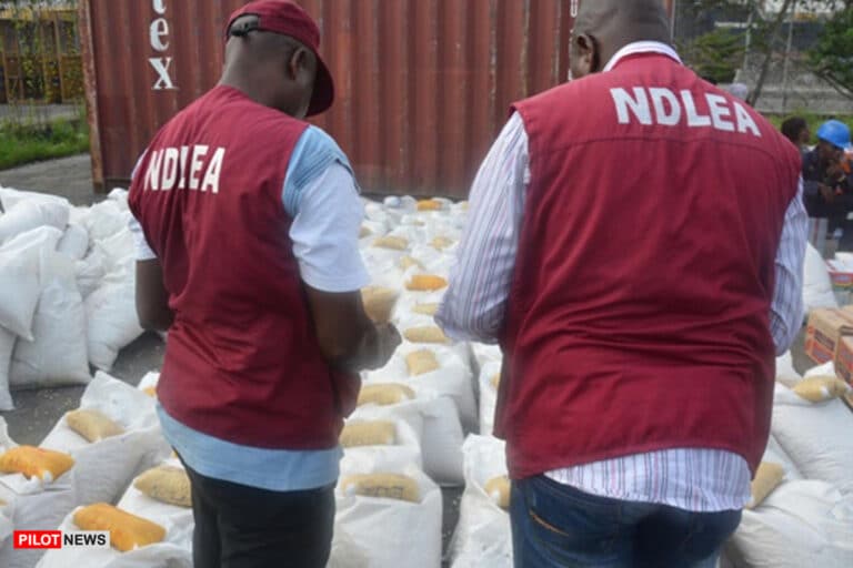 NDLEA arrests 279 suspects, recover 2,092.5kg of illicit substances in Kaduna