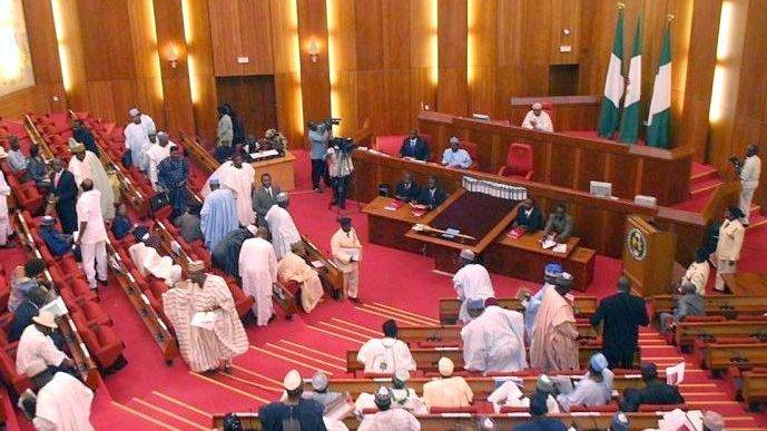 Senate halts screening of 3 ministerial nominees over alleged forgery, age falsification