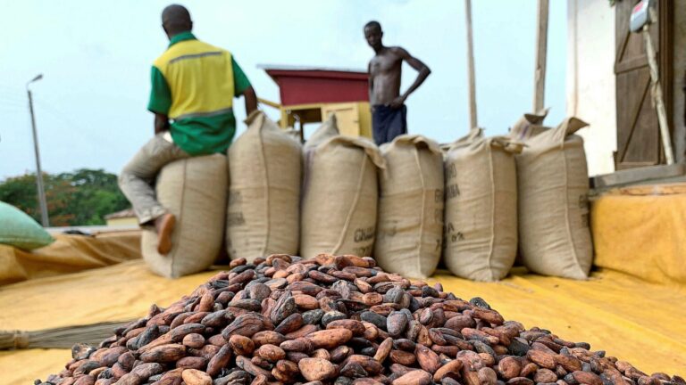 Ghana raises $1.1bn for new season cocoa purchases