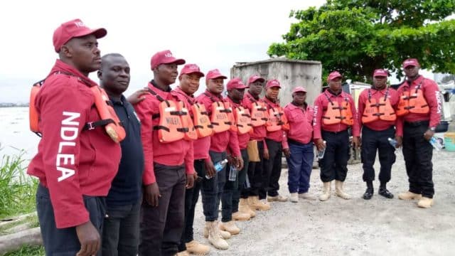 NDLEA arrests 121 suspects, seals 13 properties in Kaduna