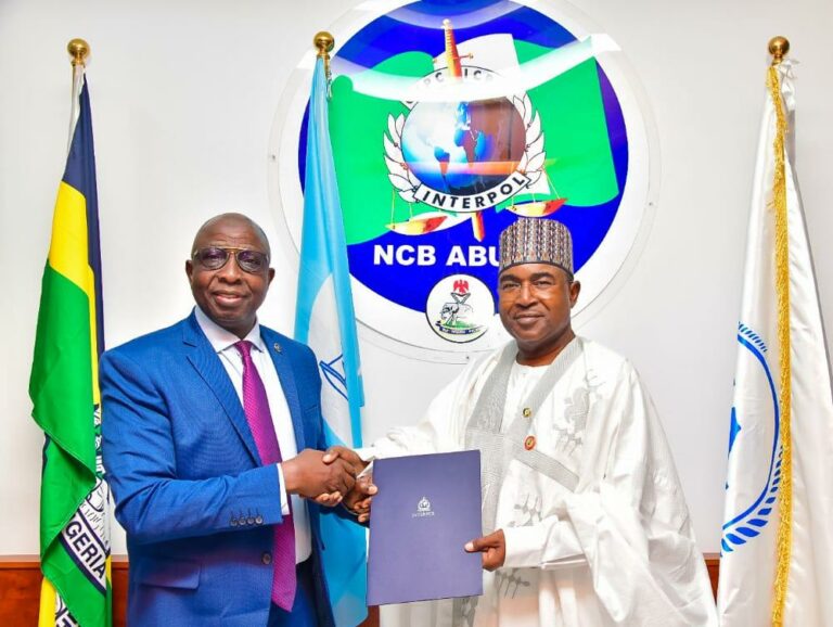 NDLEA, Interpol sign MoU on access to global criminal data records