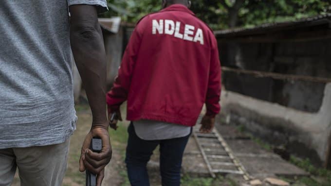 NDLEA arrests 9 for illicit drugs possession in Kaduna