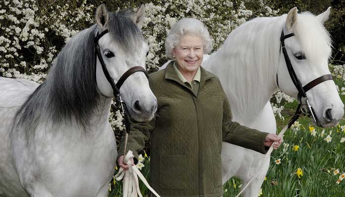 King Charles to auction 14 of late Queen Elizabeth’s racehorses