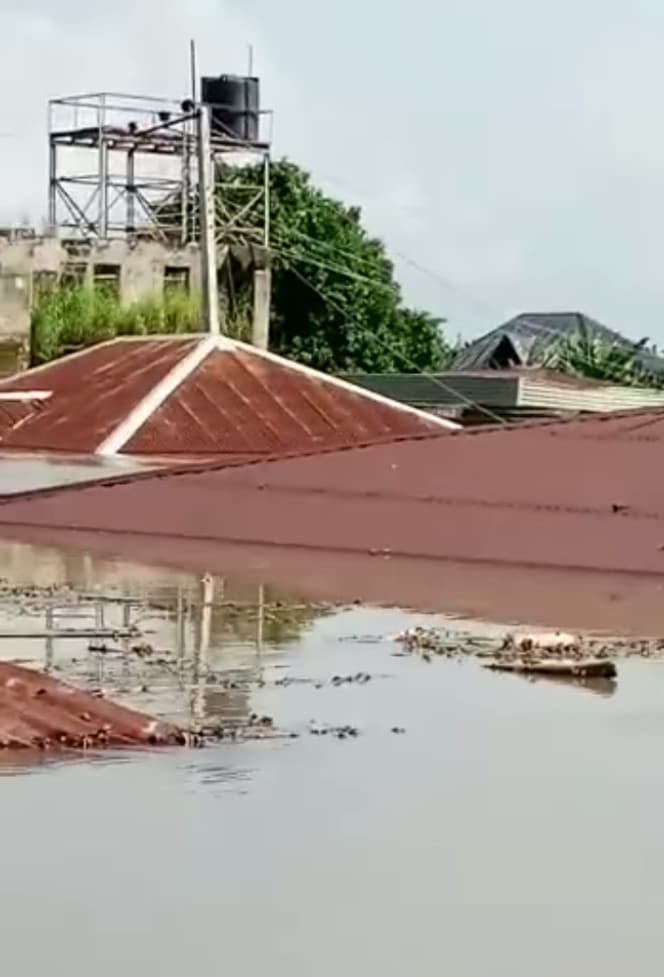 Airlifting, only solution to rising flood in Ogbaru, Anambra – NEMA