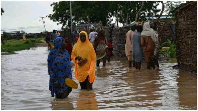 24 dead as flood, rainstorm affect 18, 245 in Katsina – SEMA