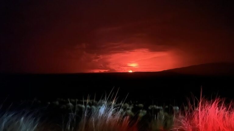 Hawaii Volcano, world’s largest, erupts first time in nearly 40 years