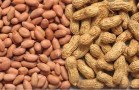 FG plans to increase groundnut production in South-West region