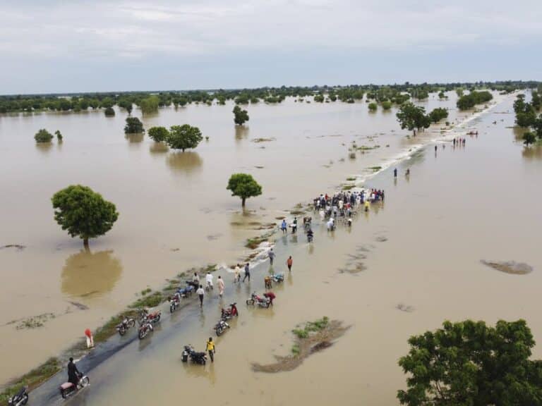 FG committed to nationwide flood control – Committee