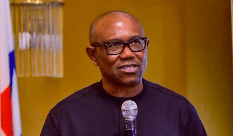 Peter Obi Biography, Early Life, Education, Political Career