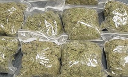 NDLEA arrests 4 with 298 bags of Indian Hemp in Kaduna