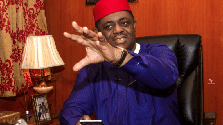 I was with pigs when I criticised Tinubu- Fani-Kayode