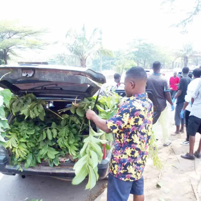 4-year-old boy’s body parts removed in Abuja