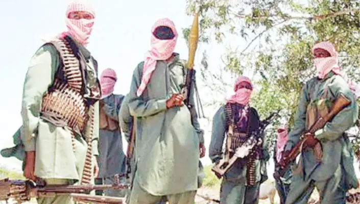 Bandits kill pregnant woman, 5 others in fresh Niger attack