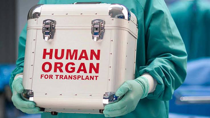 Pakistan busts gang transplanting kidneys to wealthy foreigners