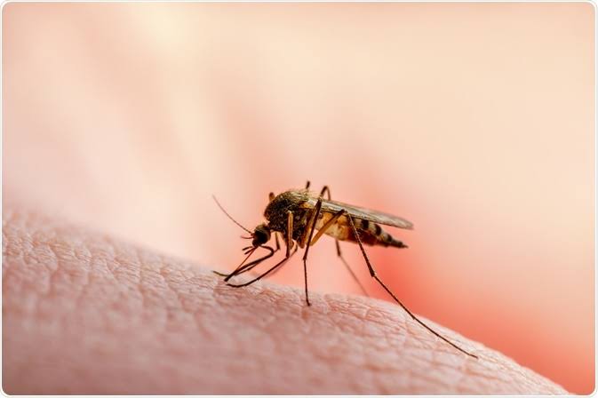 Nigeria records 55 million malaria cases, 90,000 deaths annually —FG