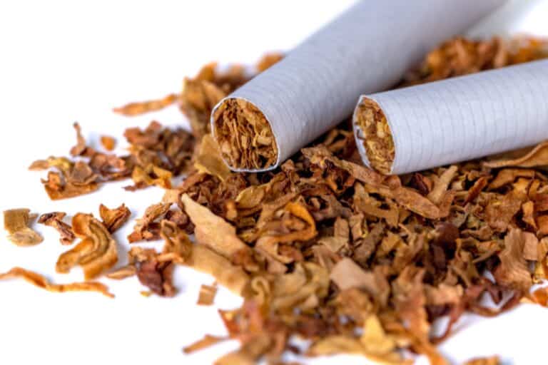 dried smoking tobacco Isolated on a white background. Close up.