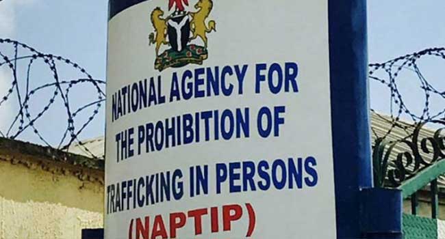 How Nigerian women are sexually harassed in Iraq — NAPTIP