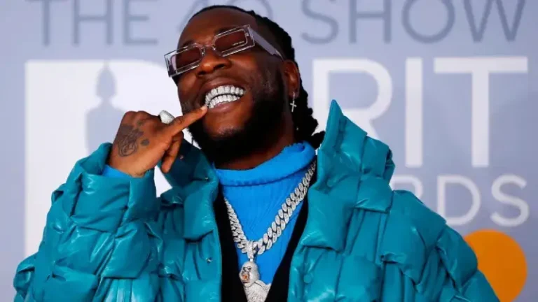 I don’t get enough credit for my musical prowess — Burna Boy