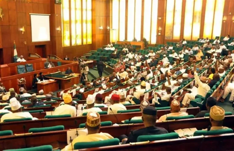 ‘Japa’ Syndrome: Reps reject motion to stop emigrations