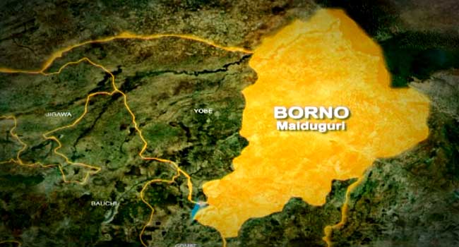 Five killed as terrorists fire mortar bombs into Borno community