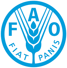 FAO, Stakeholders Call for Reinvigoration of Millets in Nigeria