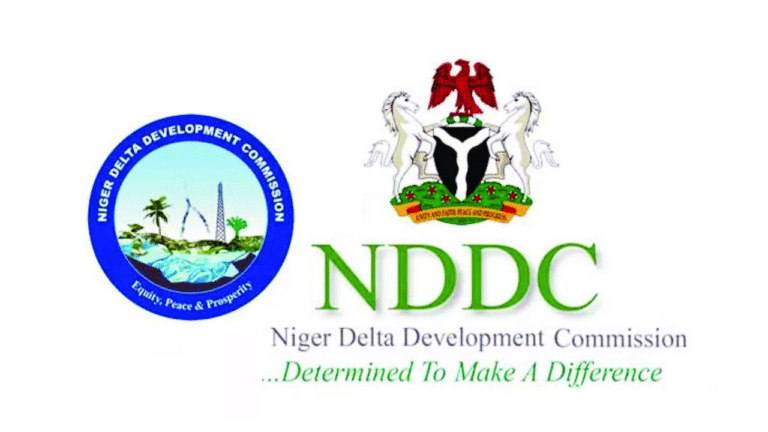 N/Delta Chieftain applauds Tinubu for returning NDDC to Presidency