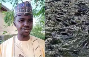 I earned N1m from fish farming in 2023–Civil servant