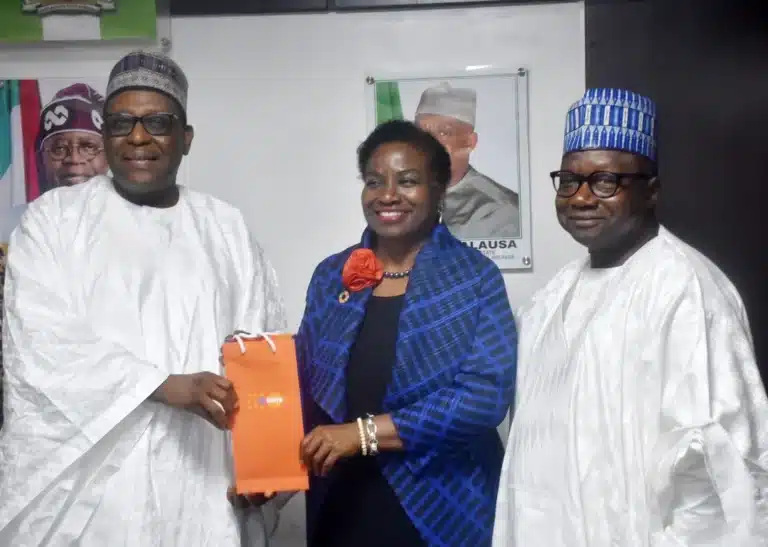 Nigeria’s economy, youthful population apt for demographic dividends — UNFPA