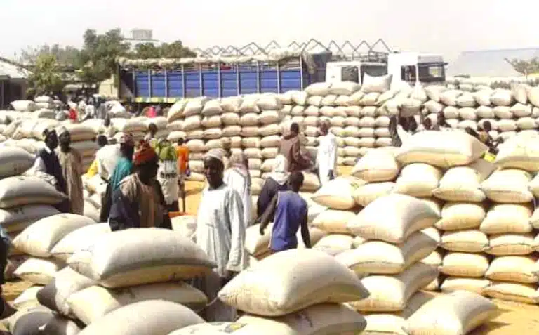 Kano: Dawanau grains market traders commend IDB, others over infrastructure