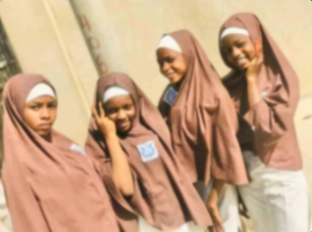 Panel raised to probe Kano Capital school over alleged funds diversion submits report