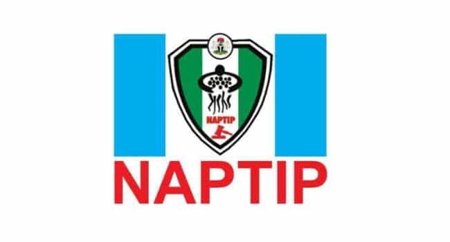 NAPTIP Kano command receives 12 rescued human trafficking victims