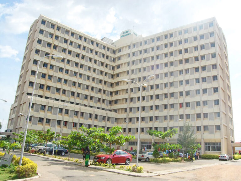 Yusuf maitama university