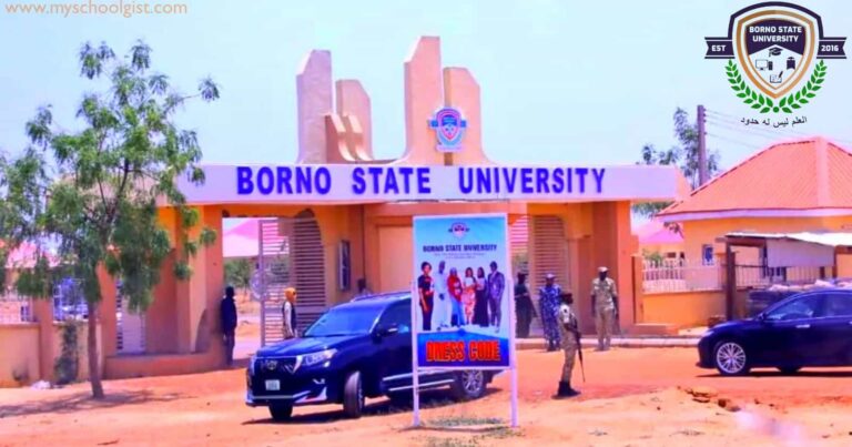 Borno State Uni