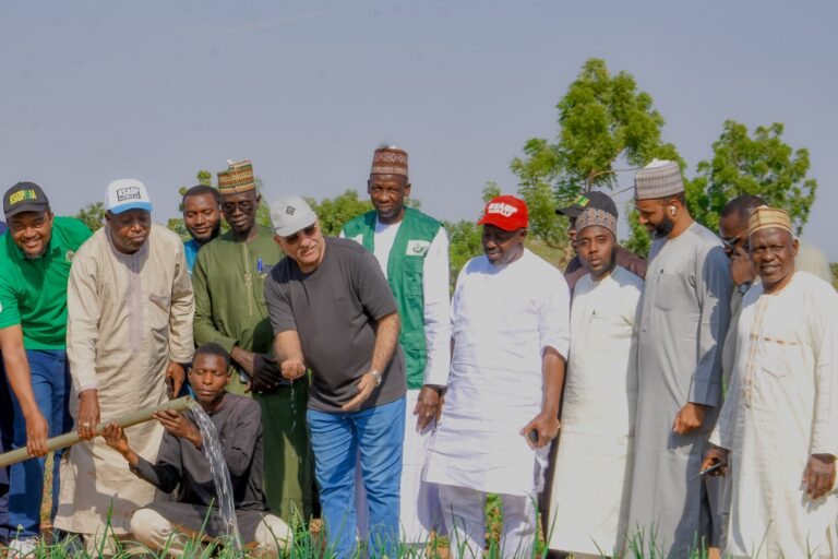 Over 572,000 crop farmers benefit from IsDB/LLF project intervention in Kano