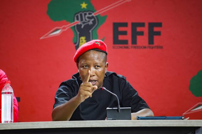 Malema