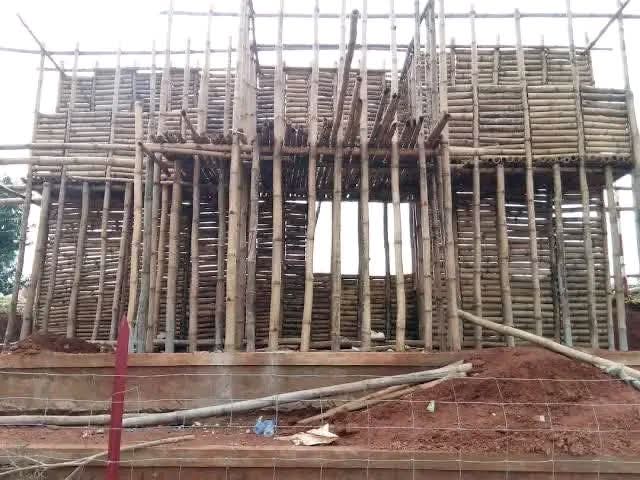 Bamboo house