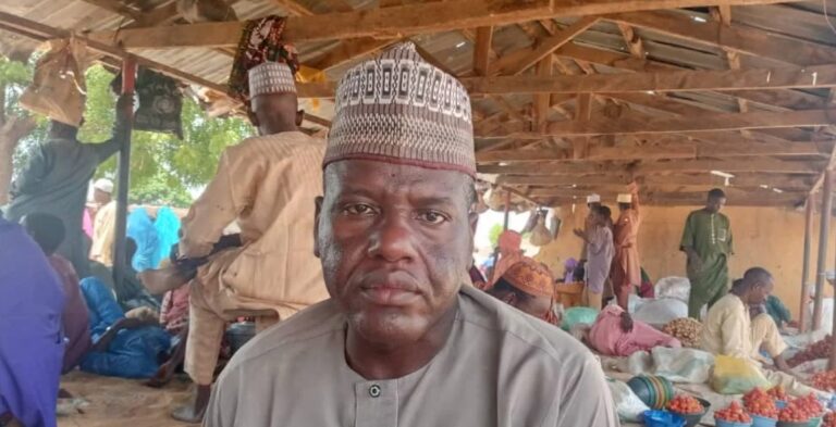 Professor Nasir Hassan-Wagini