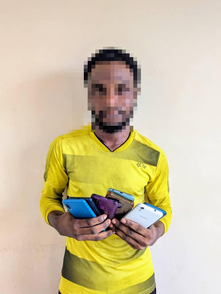 Police arrest serial phone thief in Kano