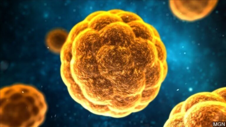 Hepatitis