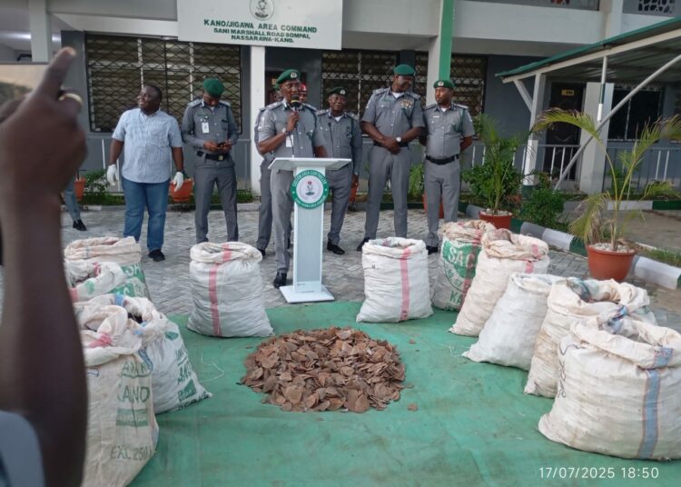 Customs intercepts 420kg of pangolin scales in Kano