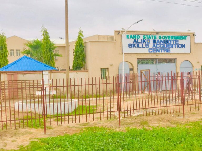 Dangote skill acquisition center