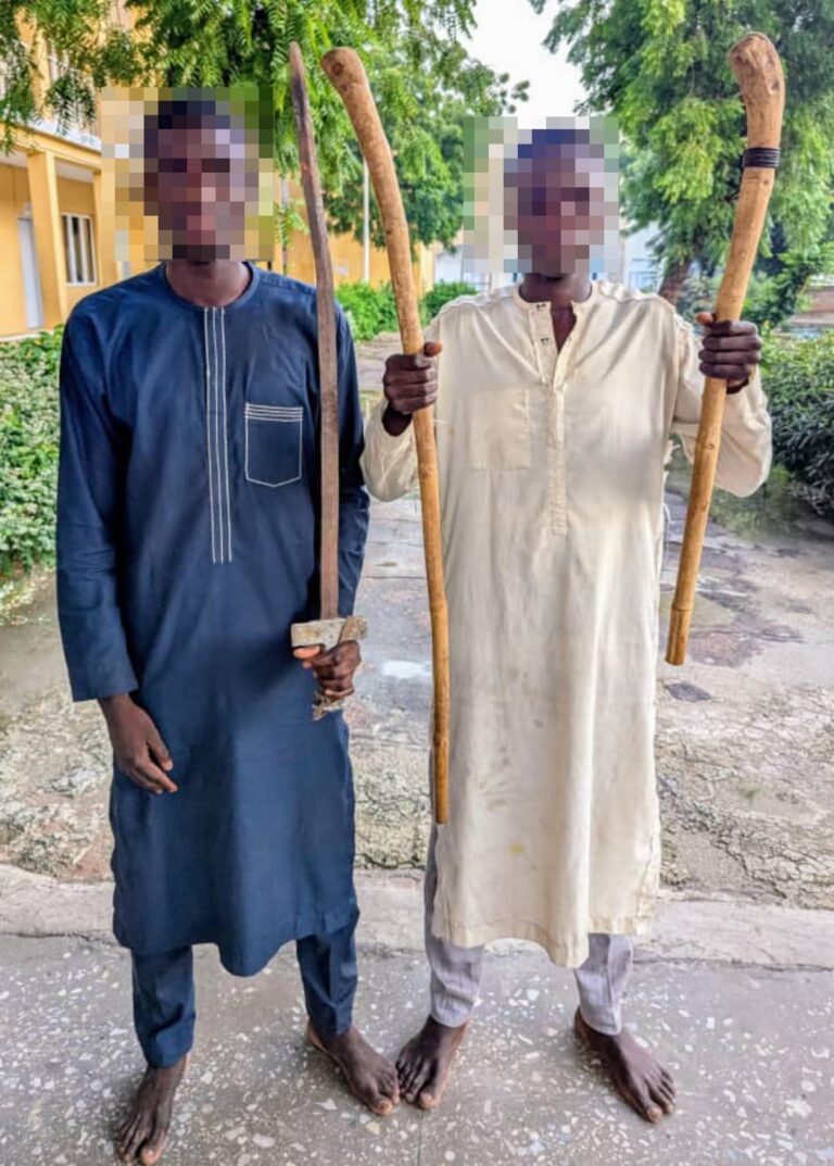 Kano thugs