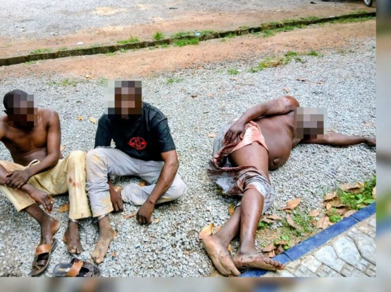 Suspected fraudstars
