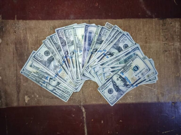 Fake Dollars